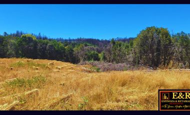 Parcela en venta en SANTA JUANA