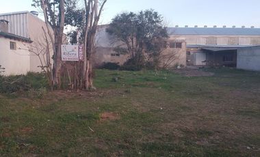 Terreno céntrico en Oliveros