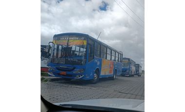 Da inicio a tu familia, en El Conde