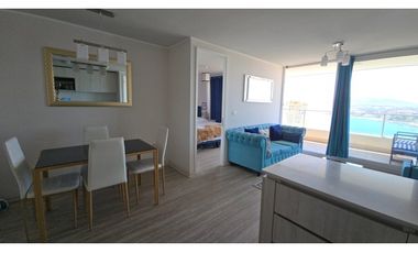 Amplio Departamento con Vista al Mar