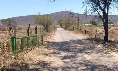 Terreno en venta ideal para gasolinera, siembra o bodega
