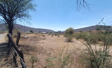 Terreno en venta ideal para gasolinera, siembra o bodega