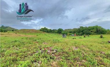 VENDO LOTES DE 1000MTS CERCA A PLAYA HERMOSA