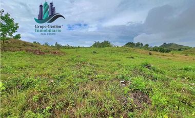 VENDO LOTES DE 1000MTS CERCA A PLAYA HERMOSA