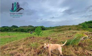 VENDO LOTES DE 1000MTS CERCA A PLAYA HERMOSA