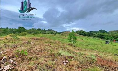 VENDO LOTES DE 1000MTS CERCA A PLAYA HERMOSA
