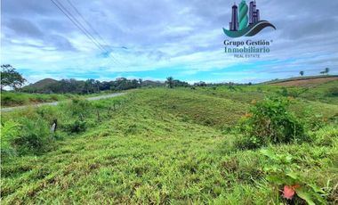 VENDO LOTE SEGREGADO DE 5000MTS VIA BOCA CHICA