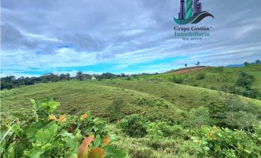 VENDO LOTE SEGREGADO DE 5000MTS VIA BOCA CHICA