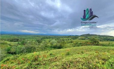 VENDO LOTE SEGREGADO DE 5000MTS VIA BOCA CHICA