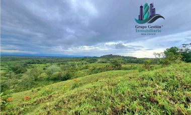 VENDO LOTE SEGREGADO DE 5000MTS VIA BOCA CHICA