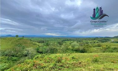 VENDO LOTE SEGREGADO DE 5000MTS VIA BOCA CHICA