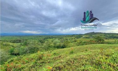 VENDO LOTE SEGREGADO DE 5000MTS VIA BOCA CHICA
