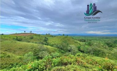 VENDO LOTE SEGREGADO DE 5000MTS VIA BOCA CHICA