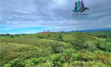VENDO LOTE SEGREGADO DE 5000MTS VIA BOCA CHICA