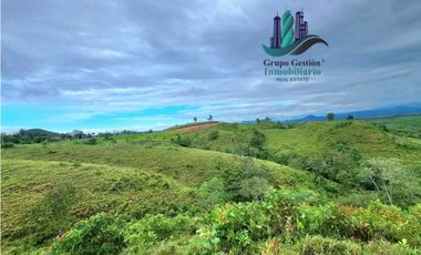 VENDO LOTE SEGREGADO DE 5000MTS VIA BOCA CHICA