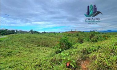VENDO LOTE SEGREGADO DE 5000MTS VIA BOCA CHICA