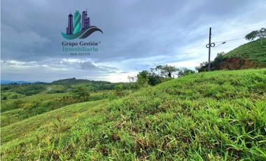 VENDO LOTE SEGREGADO DE 5000MTS VIA BOCA CHICA