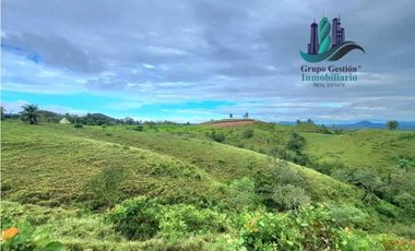 VENDO LOTE SEGREGADO DE 5000MTS VIA BOCA CHICA