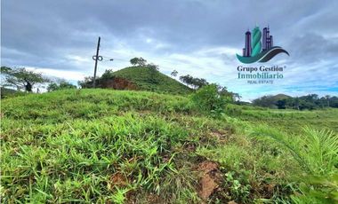 VENDO LOTE SEGREGADO DE 5000MTS VIA BOCA CHICA