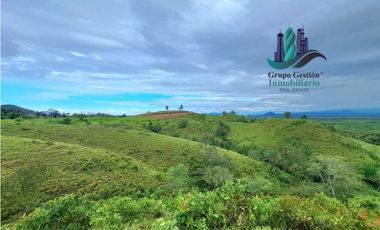 VENDO LOTE SEGREGADO DE 5000MTS VIA BOCA CHICA