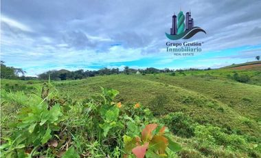 VENDO LOTE SEGREGADO DE 5000MTS VIA BOCA CHICA