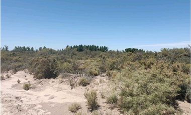 VENTA DE CAMPO 104 HAS EN 12 DE OCTUBRE- SANTA ROSA.