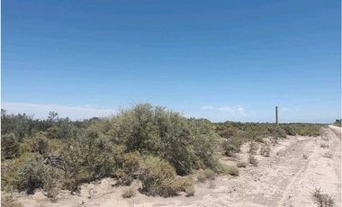 VENTA DE CAMPO 104 HAS EN 12 DE OCTUBRE- SANTA ROSA.