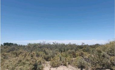 VENTA DE CAMPO 104 HAS EN 12 DE OCTUBRE- SANTA ROSA.