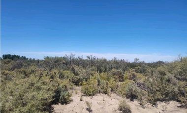 VENTA DE CAMPO 104 HAS EN 12 DE OCTUBRE- SANTA ROSA.