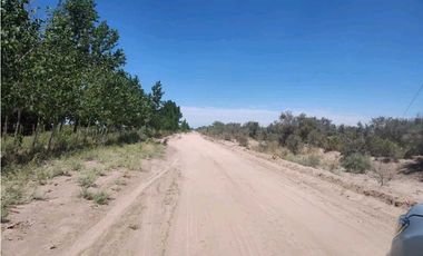 VENTA DE CAMPO 104 HAS EN 12 DE OCTUBRE- SANTA ROSA.