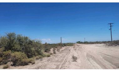 VENTA DE CAMPO 104 HAS EN 12 DE OCTUBRE- SANTA ROSA.