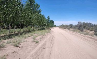 VENTA DE CAMPO 104 HAS EN 12 DE OCTUBRE- SANTA ROSA.