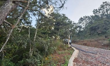 Bonito terreno amplio en zona de bosque de mazamitla, Jalisco