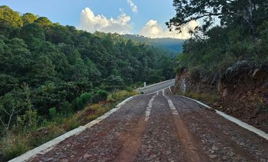 Bonito terreno amplio en zona de bosque de mazamitla, Jalisco