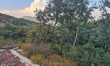 Bonito terreno amplio en zona de bosque de mazamitla, Jalisco