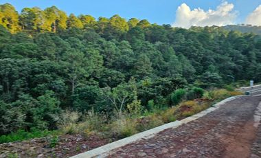 Bonito terreno amplio en zona de bosque de mazamitla, Jalisco
