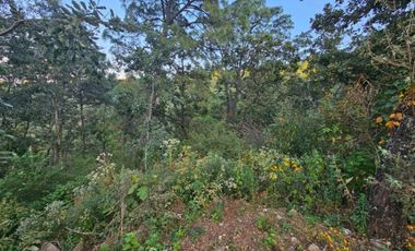Bonito terreno amplio en zona de bosque de mazamitla, Jalisco