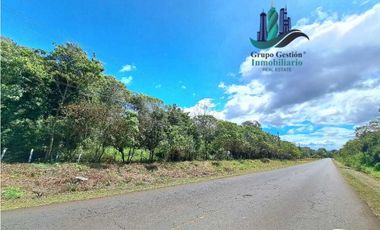 VENDO TERRENO DE 43893MTS VIA PRINCIPAL POTRERILLOS