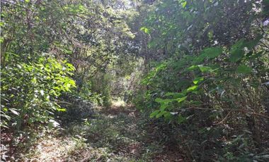 VENDO TERRENO DE 43893MTS VIA PRINCIPAL POTRERILLOS