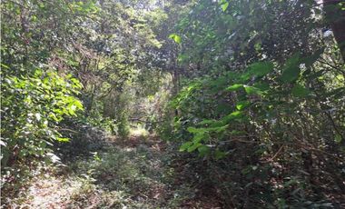 VENDO TERRENO DE 43893MTS VIA PRINCIPAL POTRERILLOS
