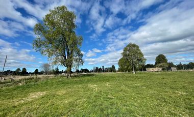 Parcela en venta en FRUTILLAR