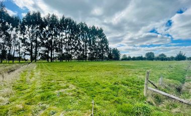 Parcela en venta en FRUTILLAR