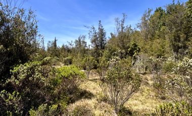 Parcela en venta en CALBUCO