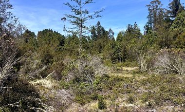 Parcela en venta en CALBUCO