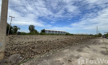 Land for sale in Don Khoi, Nakhon Pathom