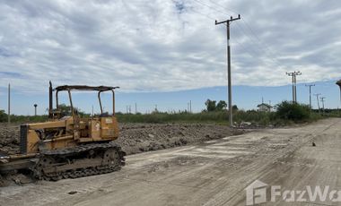 Land for sale in Don Khoi, Nakhon Pathom