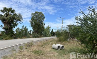 Land for sale in Don Khoi, Nakhon Pathom