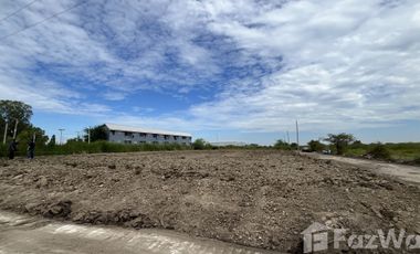 Land for sale in Don Khoi, Nakhon Pathom