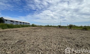 Land for sale in Don Khoi, Nakhon Pathom
