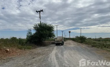 Land for sale in Don Khoi, Nakhon Pathom